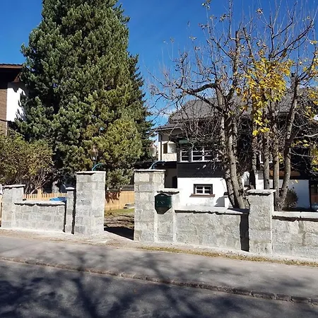 Silverbirch - * دافوس