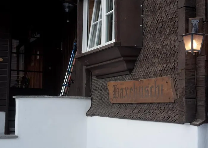 Silverbirch - * دافوس