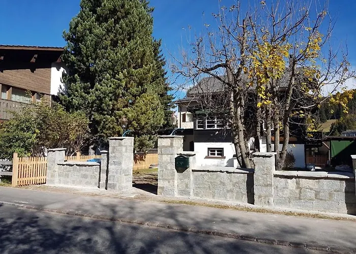 Silverbirch - * دافوس