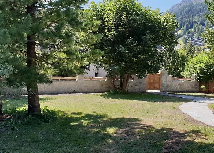 Silverbirch - * دافوس